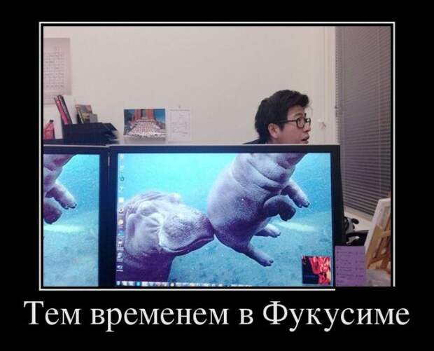 Позитивные демотиваторы для настроения (10 фото) Позитивные демотиваторы для настроения (10 фото)