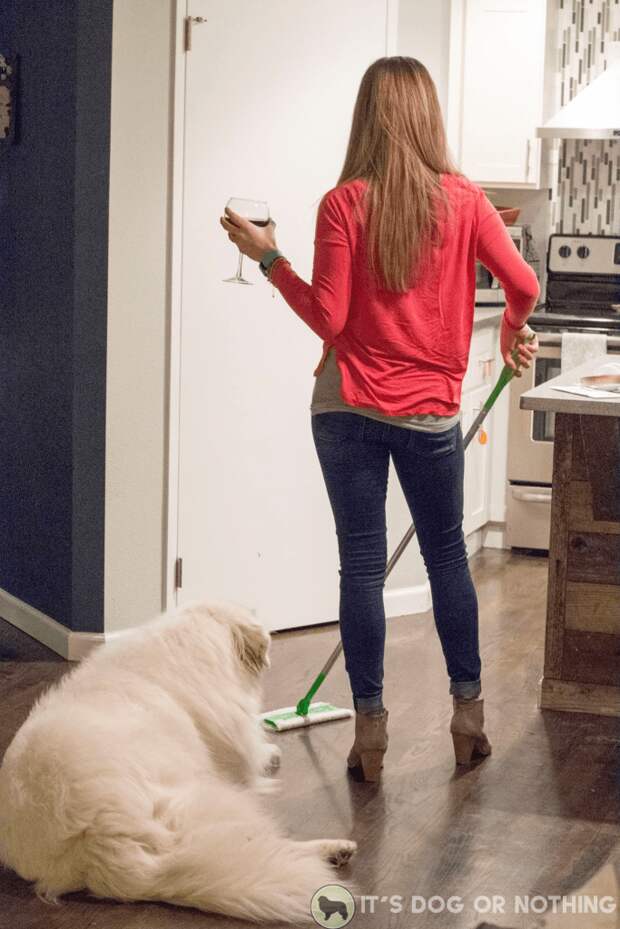 Our cleaning routine with three Great Pyrenees