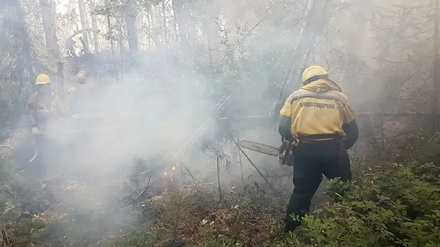 Когда земля горит под ногами: кто и как тушит пожары в Сибири