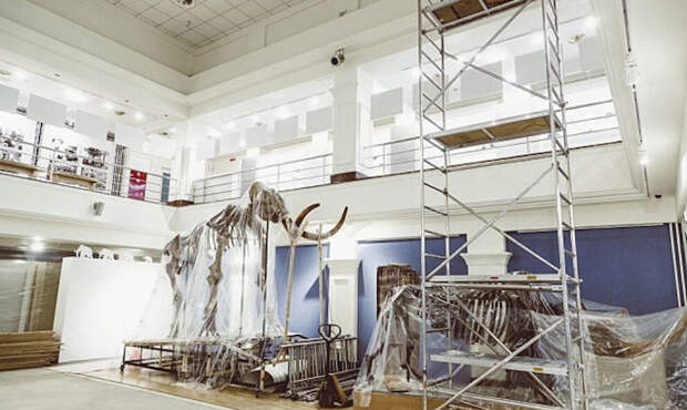 Главный музей Ямала покажет найденные останки мамонта Тадибе