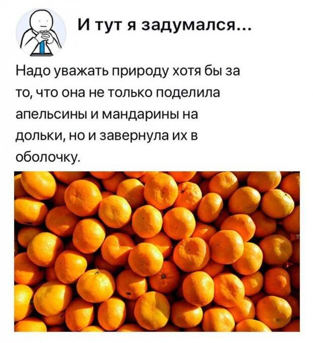 205895_15_trinixy_ru.jpg
