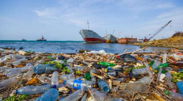Информация для любителей мусорить, употребляя при этом морепродукты