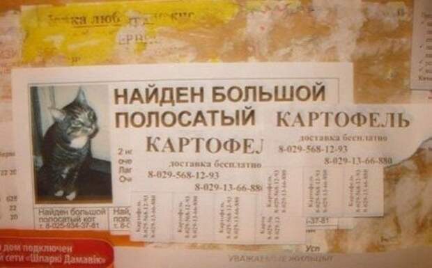 Прикольные надписи и объявления