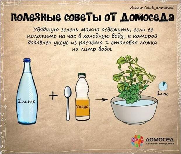 Полезные советы по дому (19 фото)