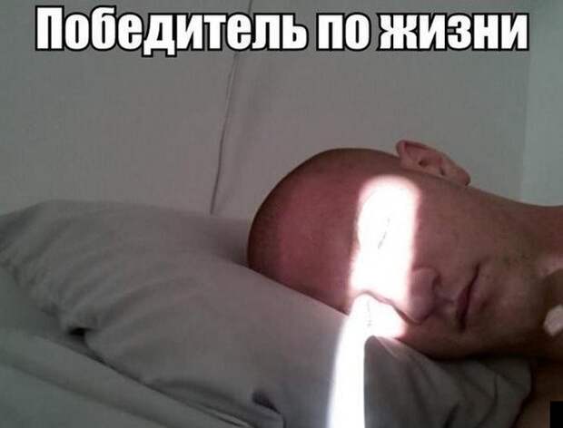 Прикольные картинки Прикольные картинки
