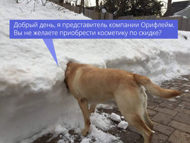 Спасибо, я подумаю Спасибо, я подумаю