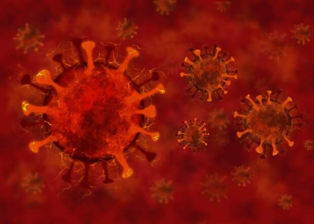 В Севастополе выявлен еще 21 коронавирусник
