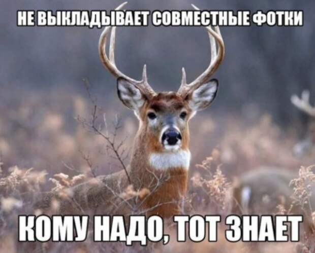 www.vsyako.net