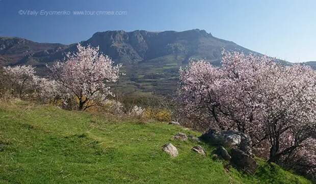 С гор...(стихотворный перевод с прозаического)