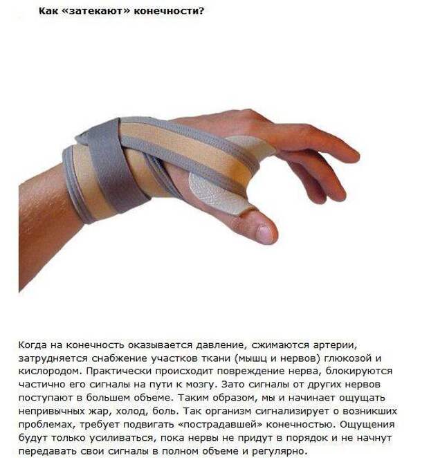 факты, миф, правда, кофе, язык, пуля