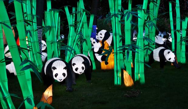 Фото: Пресс-служба