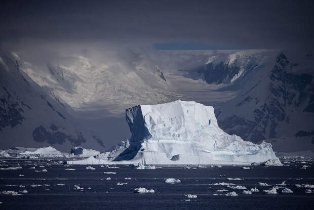 Антарктида в объективе