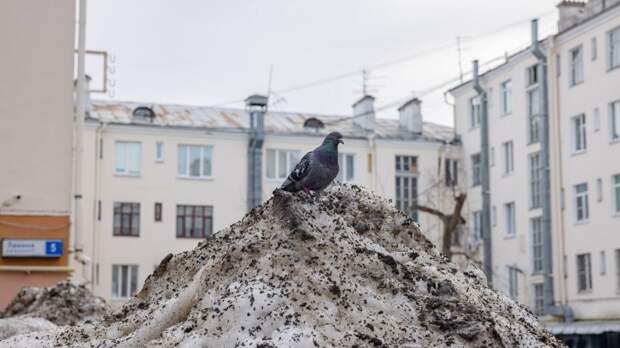 Главный по благоустройству Екатеринбурга оценил весеннюю уборку улиц