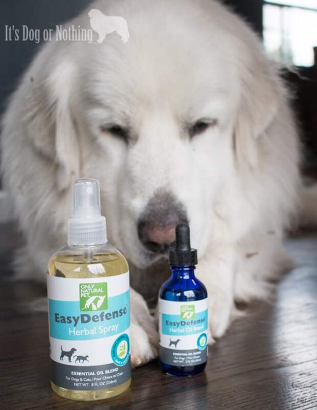 Fleas and ticks are a problem no matter where you live. Skip the chemicals and protect your dog from pests using the natural EasyDefense from Only Natural Pet.