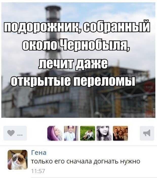 Смешные комментарии из социальных сетей соцсети, юмор