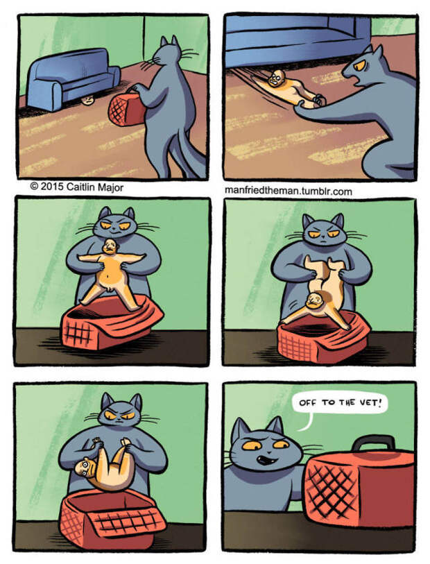 Если бы человек стал домашним питомцем кота (18 картинок)