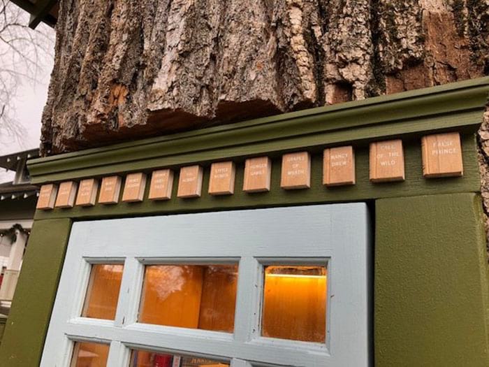 https://img.lifter.world/data/2019/jan/164/dead-tree-little-free-library-sharalee-armitage-howard-4-5c3471be5e239__700.jpg