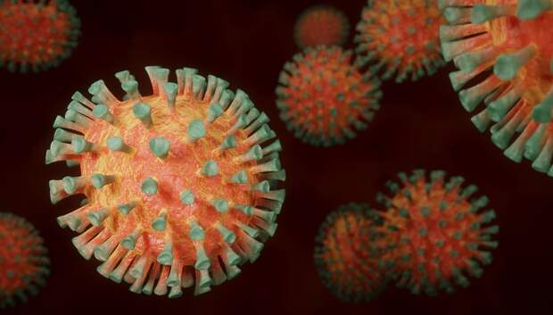 В Подмосковье за сутки выявили еще 306 случаев коронавируса