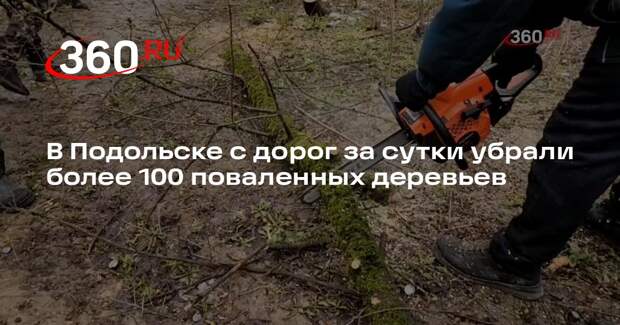 В Подольске с дорог за сутки убрали более 100 поваленных деревьев