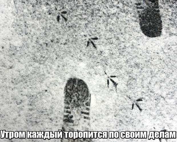 Подборка прикольных фото