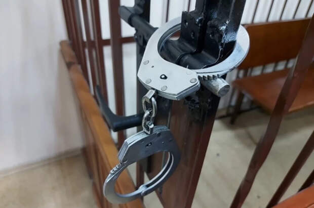 Обвиняемого в похищении 9-летней девочки в Смоленске отправили под арест