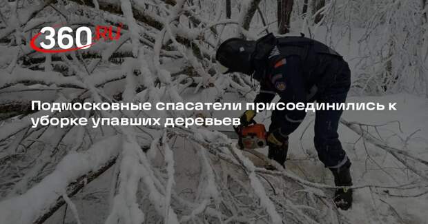 Подмосковные спасатели присоединились к уборке упавших деревьев
