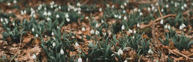 Туман и потепление: погода в Алматы на 16-18 марта