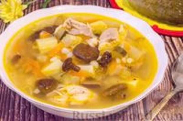Фото к рецепту: Рассольник с курицей, сушёными грибами и перловкой