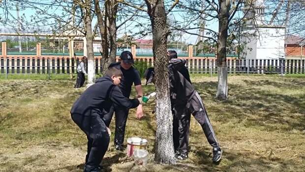 Субботник. Навстречу Майским праздникам!  