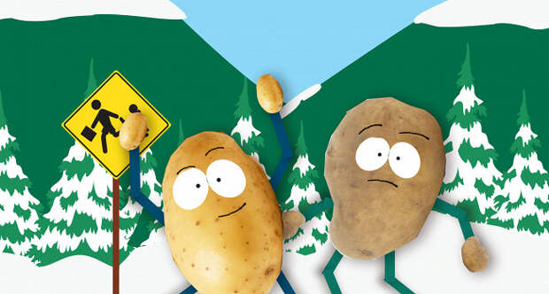 Восемнадцать вопросов про картошку