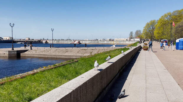 В Кронштадте должен побывать каждый турист! Этот город - главный защитник Санкт-Петербурга на протяжение истории. Однако, чтобы оценить его по достоинству, нужно ехать подготовленным.-5