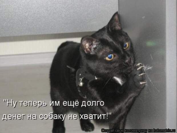 Сборник весёлых котоматриц (35 шт)