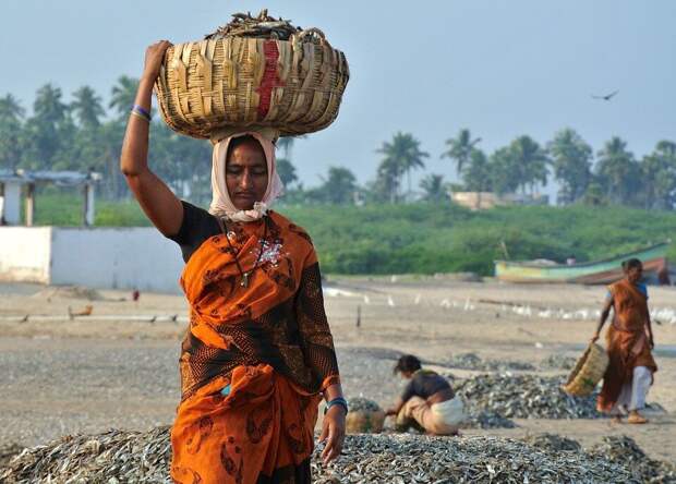 Женщины и рыбалка. Индия. Фото с сайта pixabay - бесплатные картинки