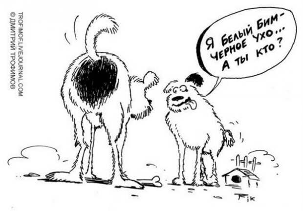 Забавные карикатуры Забавные карикатуры