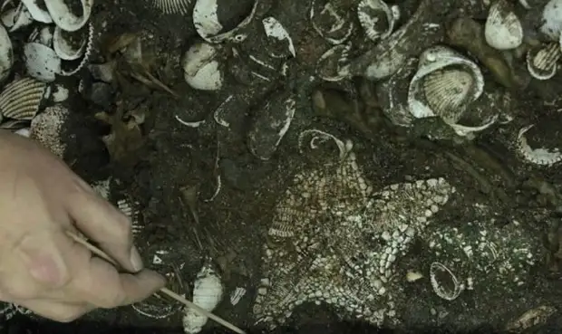 Крупнейший храм бога войны ацтеков был украшен сотней морских звезд