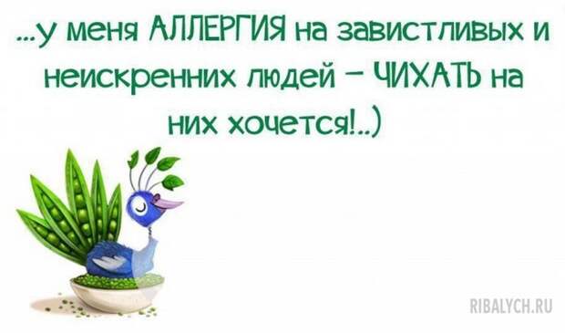 воскресный юмор