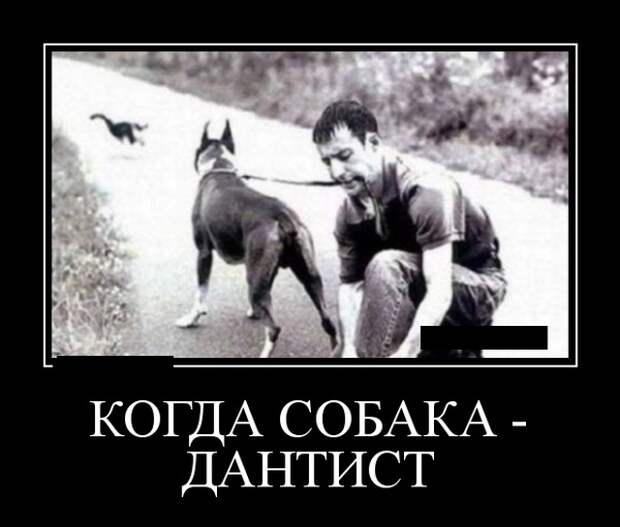 Демотиваторы (20 фото)