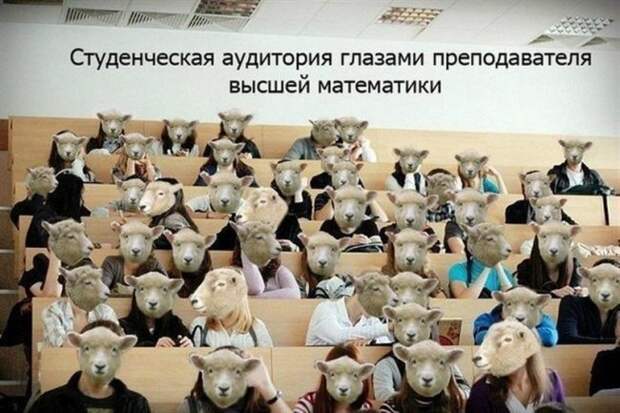 Приколы про студентов: ах, эти золотые годы!