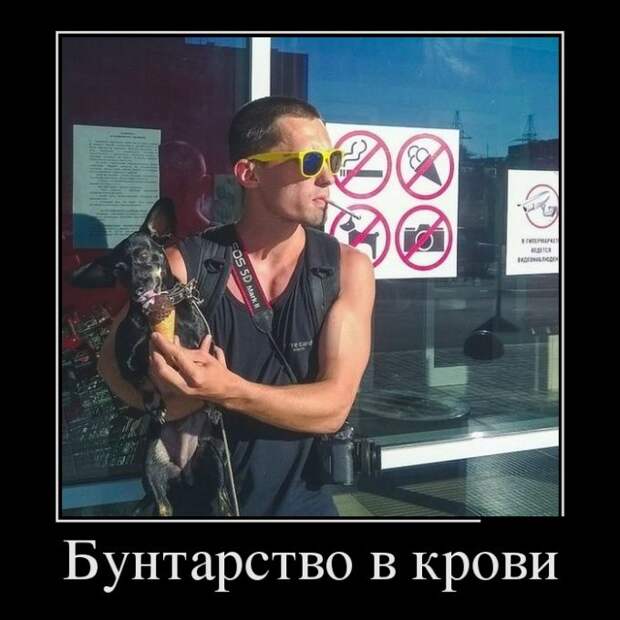 Демотиваторы