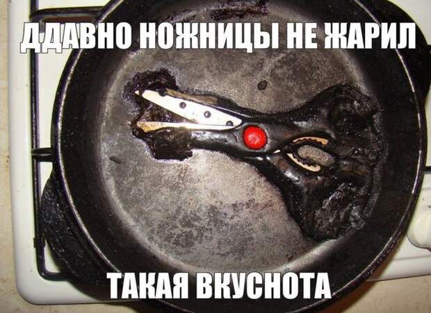 Прикольные картинки Прикольные картинки