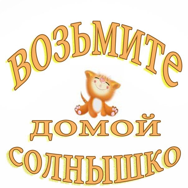 Возьмите домой солнышко! Пожалуйста!!!