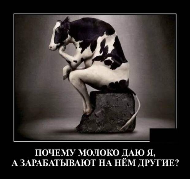 Демотиваторы (20 фото)