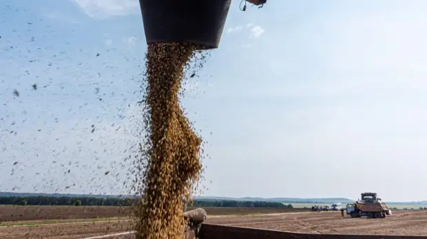 В Удмуртии обсудили вопросы сотрудничества с Францией в сфере сельского хозяйства
