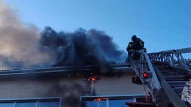 Пожар в школе / Кадр из видео: МЧС Алтайского края