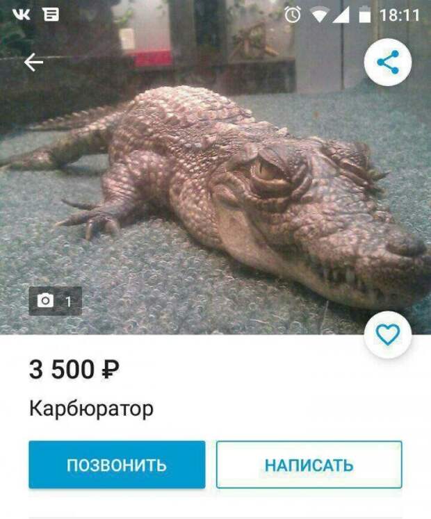 Нестандартный юмор :)