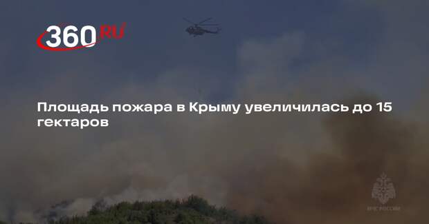 Площадь пожара на лесной подстилке в районе Судака увеличилась до 15 гектаров