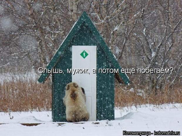 Котоматрица: Слышь, мужик, а потом ещё побегаем?