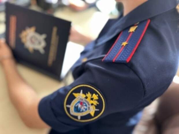 Главе ведомства доложат по обращению о невыплате заработной платы сотрудникам одной из организаций Ульяновской области