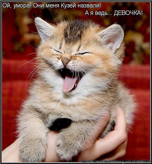 В  ДЕНЬ  СМЕХА!..  :)