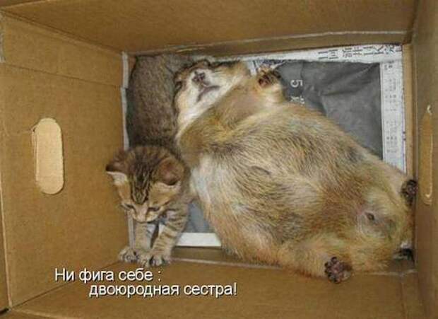 Продолжаем подготовку к Новому Году.